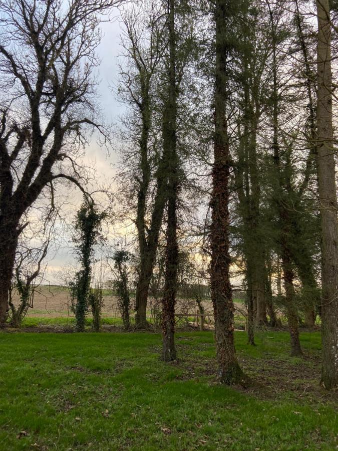 Kildare Countryside Pods Villa Екстериор снимка