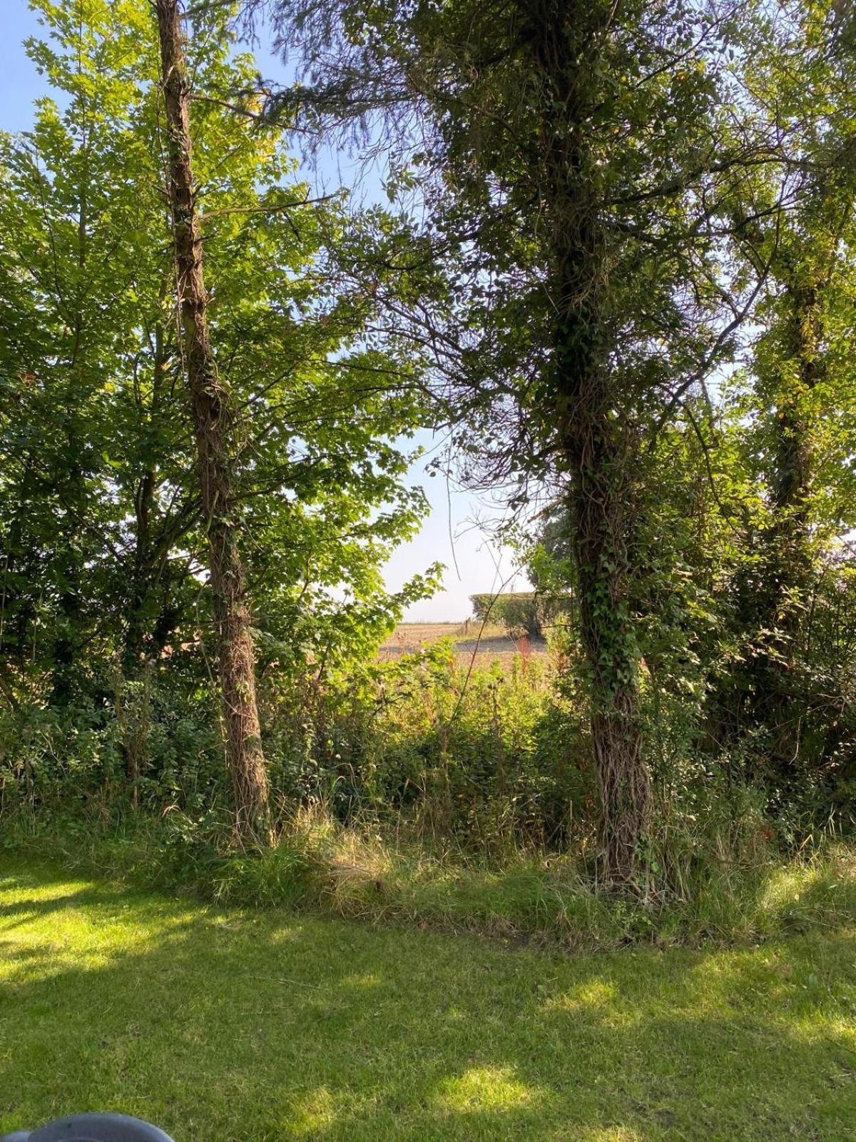 Kildare Countryside Pods Villa Екстериор снимка